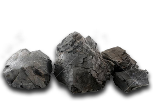 Small nut coal